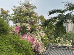 -深圳国际园林花卉博览园