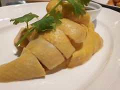 白斩散养草鸡-红城阁·上海味道(四平路店)