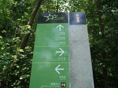 -火炉山森林公园