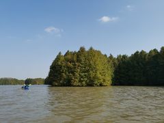 -上海海湾国家森林公园