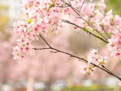 -文华公园(禅城区)