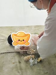 -玛瑞莎孕婴童摄影到家拍