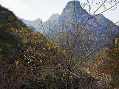 -孤山寨风景区