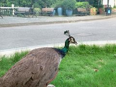 -J Create城市露营咖啡·简餐·宠物(上海动物园店)