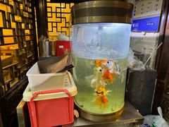 -西单翅酷(西单店)