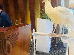 -宁波九龙湖开元度假村