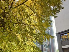 -四川大学(华西校区)