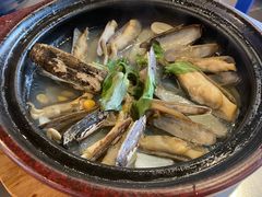 -陈鹏鹏潮汕菜(欢乐海岸 海边景观店)