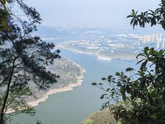 -铁山坪森林公园