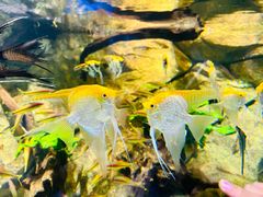 -石林冰雪海洋世界