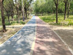 -绿堤公园