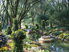 -上海共青森林公园