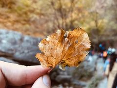 -云台山风景名胜区