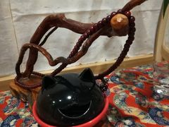 -京怀石·壬生