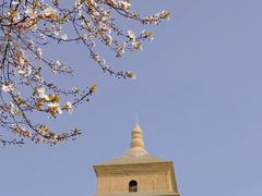 -大慈恩寺(大雁塔)