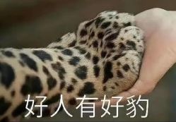 -闺蜜美甲