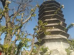 -正阳书局(西四南大街店)