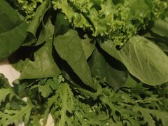 嘎嘣脆贡菜-宽巷子成都火锅(南站店)