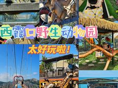 -西霞口神雕山野生动物世界