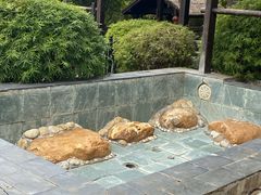 -崇阳三特浪口温泉