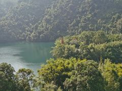 -鼎湖山风景区