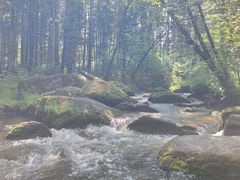 -汤旺河林海奇石景区