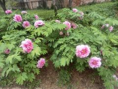 -国家植物园南园