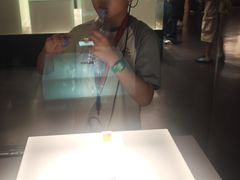 -徐州博物馆