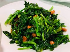 -听涛雅苑百味饺子老家菜馆