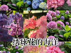 -常州古运河南大街文化旅游区-人民公园