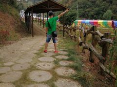 -千年银杏谷文化旅游区