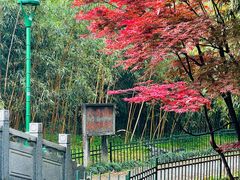 -杭州植物园