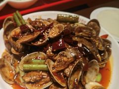 -丝恋丝娃娃(逸天城国贸店)