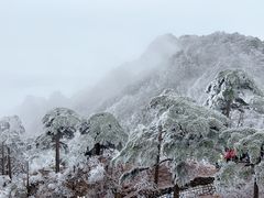 -黄山风景区