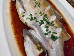 清蒸武昌鱼-曾宴·楚菜(湖北省博物馆店)