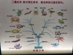 -上海昆虫博物馆