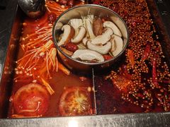 -蜀江龙火锅(339店)