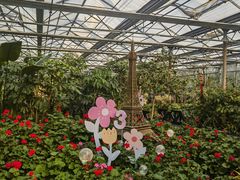 -南宫五洲植物乐园