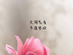 -玉华宫宾馆·餐厅(铜川驻京办店)