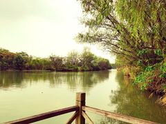 -西溪国家湿地公园