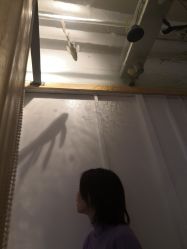 -王姑娘的店