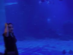 -石家庄海洋公园