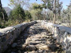 -阳台山自然风景区