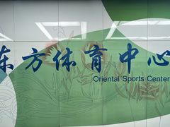 -东方体育中心(地铁站)