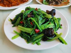 鲜汁油麦菜-同发号饭庄(复兴路店)