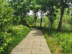 -杭州湾海上花田景区