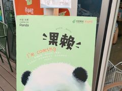 -熊猫邮局(少城店)