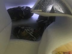 -小陆莲花蟹园农家乐(莲花岛店)