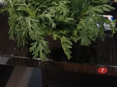 -东椰·海南椰子鸡火锅(朝阳门店)