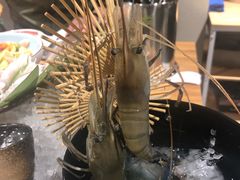 -日进一片海.生腌海鲜火锅.宵夜烧烤(三里屯总店)